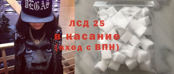 PSILOCYBIN Бородино