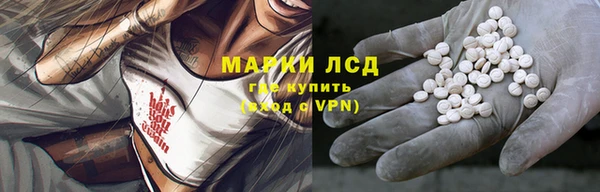 эйфоретик Богданович