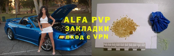 эйфоретик Богданович