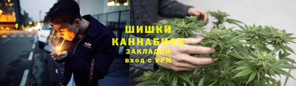 PSILOCYBIN Бородино