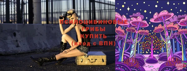 MDMA Богородск