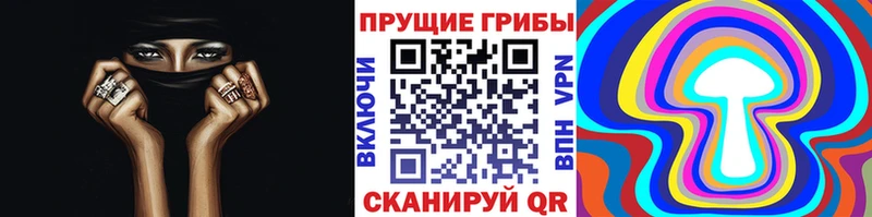 Псилоцибиновые грибы Magic Shrooms  где купить наркоту  Гусев 